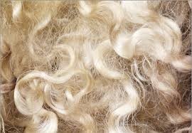 Natural Fiber & Raw Materials Products